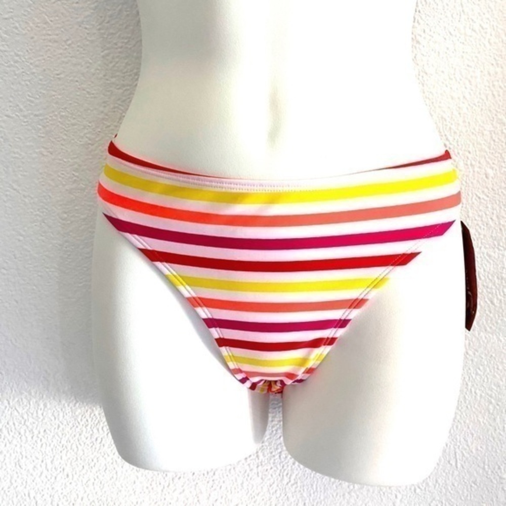 Arizona striped multicolored  bikini bottom-large